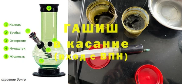 индика Богородск