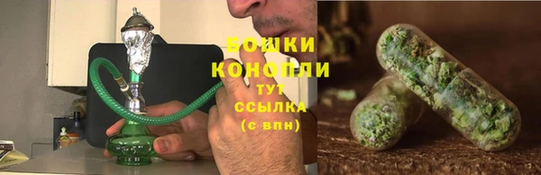 амф Белокуриха