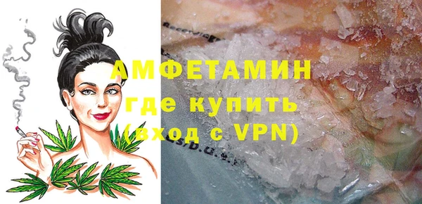 индика Богородск