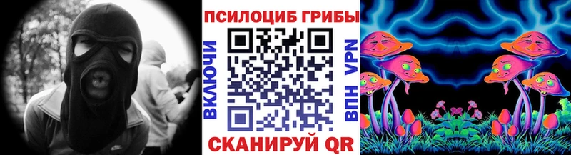 наркотики  мориарти как зайти  Галлюциногенные грибы Psilocybine cubensis  Первомайск 